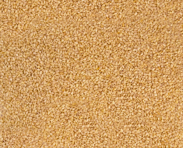 Close up of sesame seeds. Rich in Vitamin B6, nutrients like zinc, iron, magnesium, used in Vedic Tiger's Brahmi Head Massage Oil for protecting, nourishing, detoxing skin and hair.